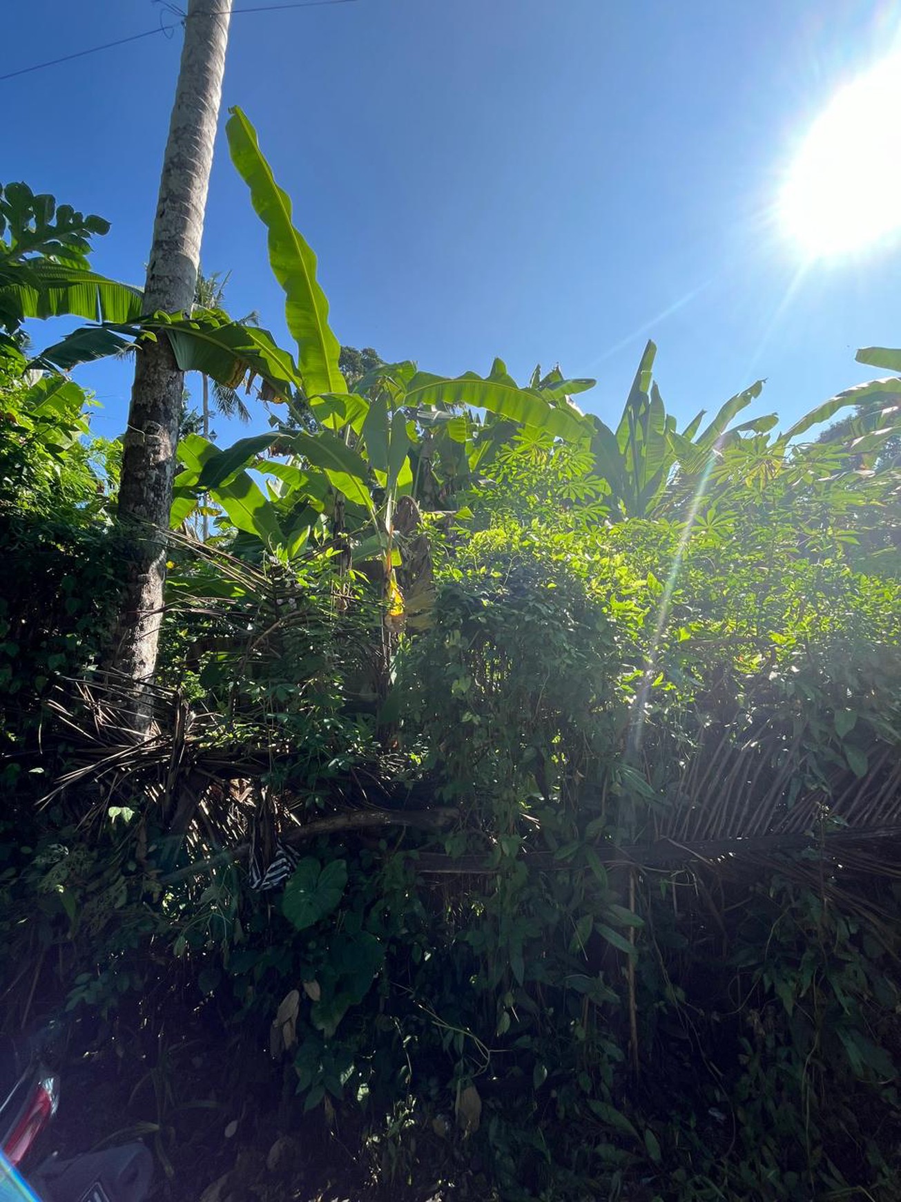 Leasehold - Land Near Kaba-Kaba ,Tabanan - Perfect for Villa Development