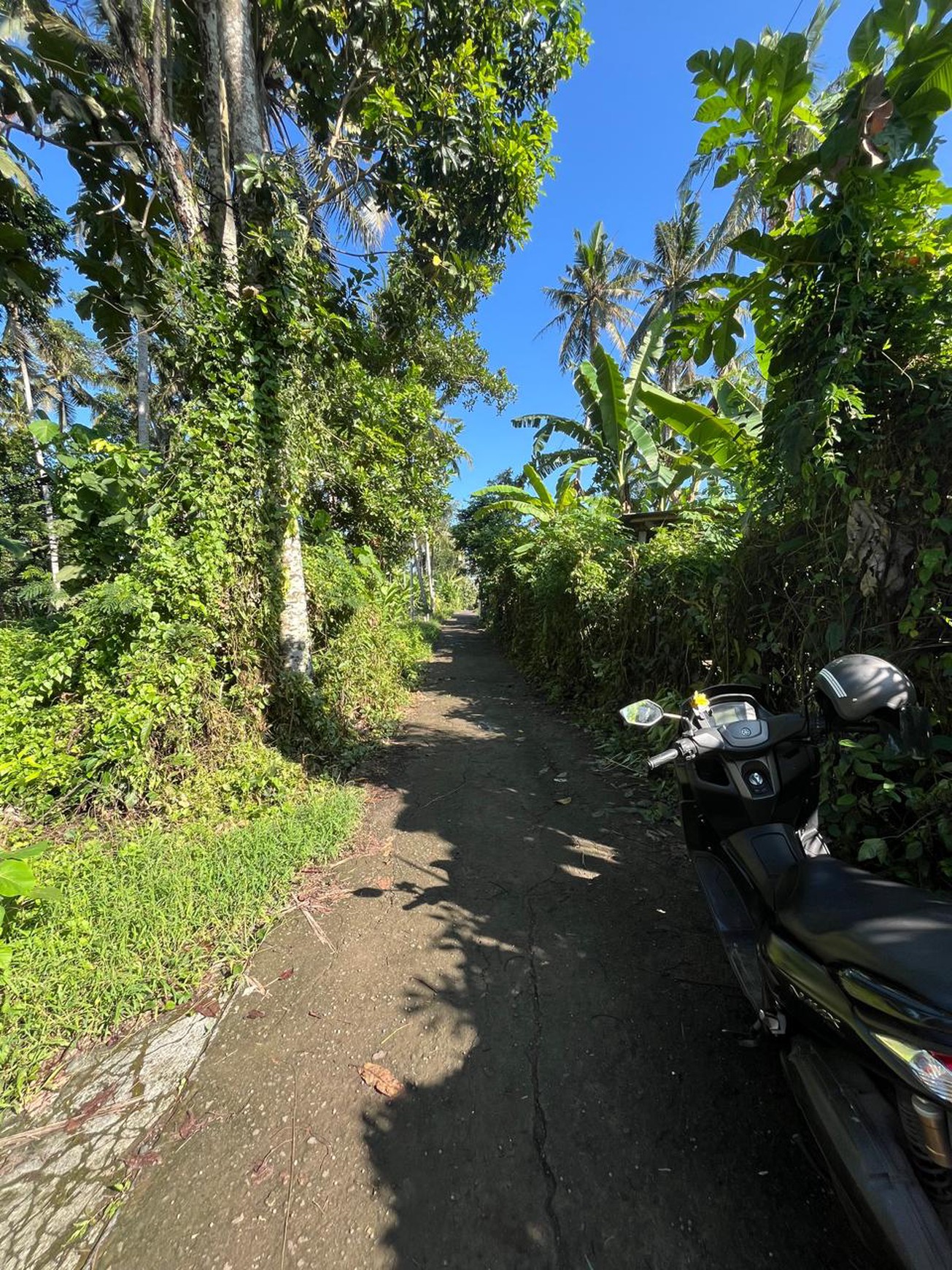 Leasehold - Land Near Kaba-Kaba ,Tabanan - Perfect for Villa Development