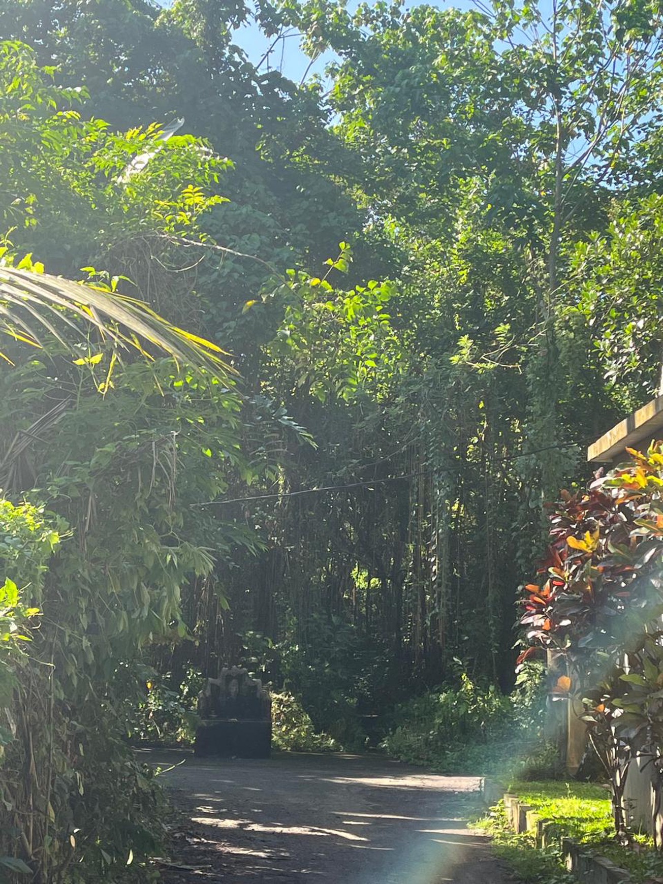 Leasehold - Land Near Kaba-Kaba ,Tabanan - Perfect for Villa Development