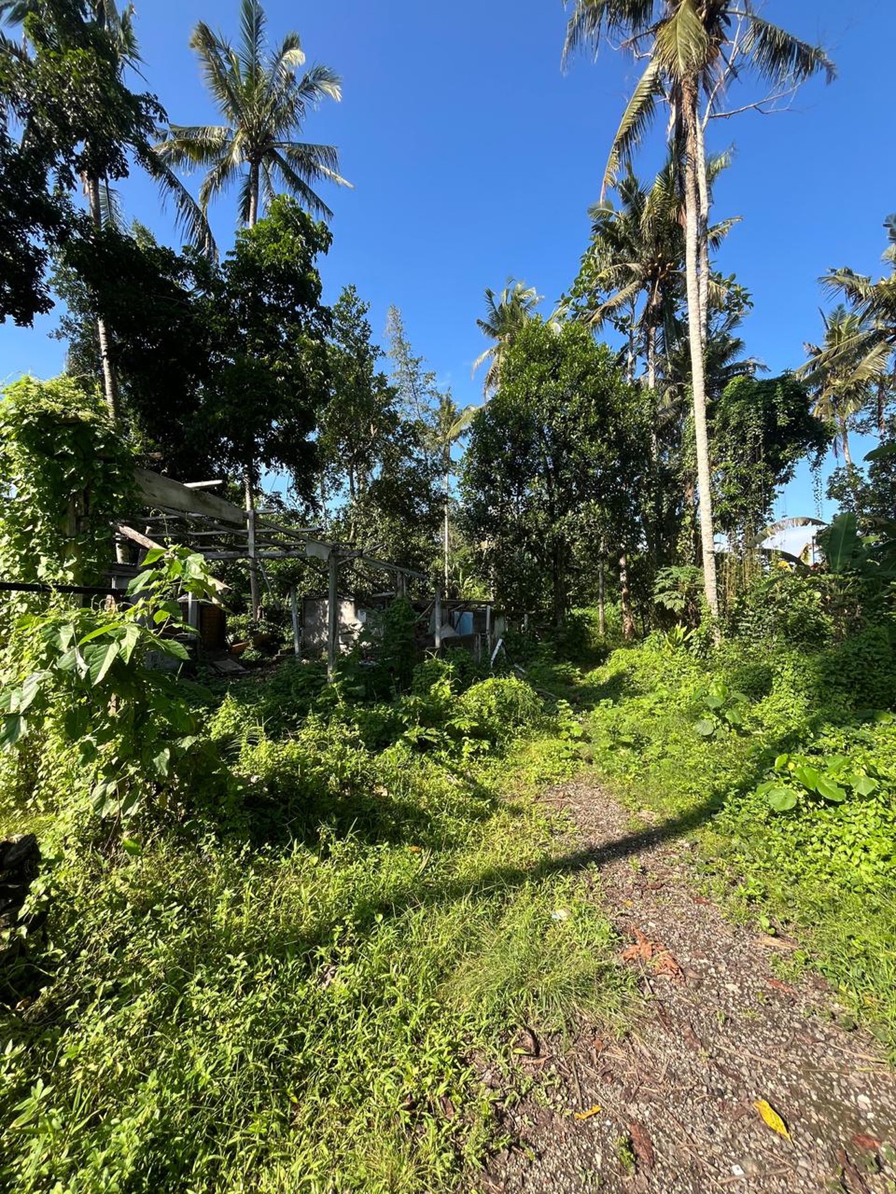 Leasehold - Land Near Kaba-Kaba ,Tabanan - Perfect for Villa Development