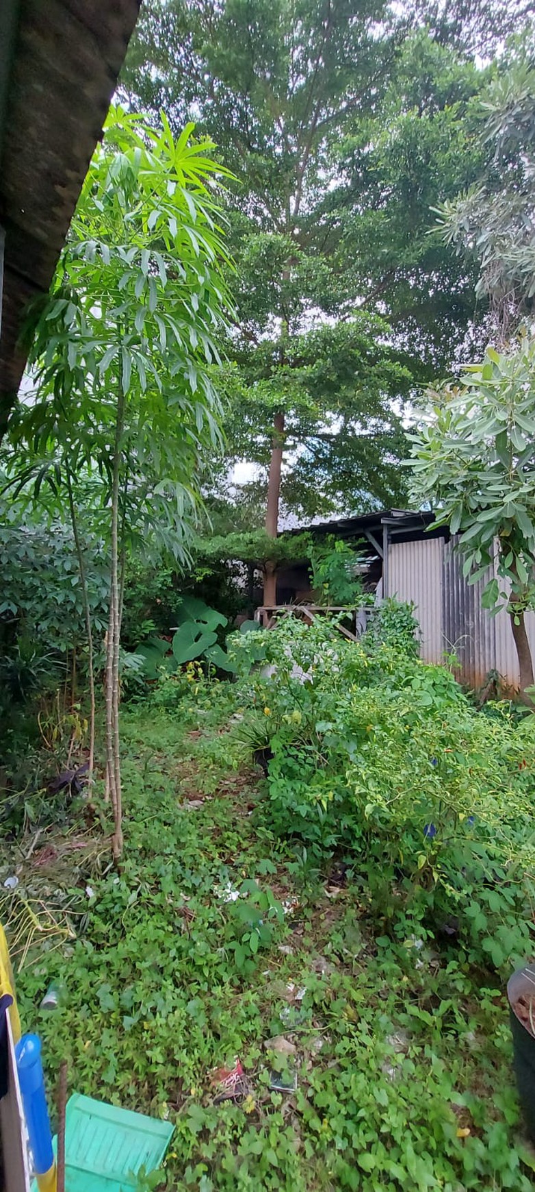 Kavling Murah Siap Bangun dan Lokasi Strategis @Jakarta Timur