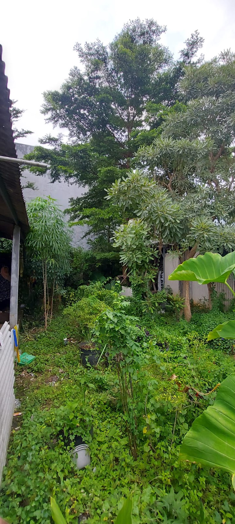 Kavling Murah Siap Bangun dan Lokasi Strategis @Jakarta Timur
