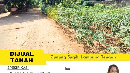 di jual tanah area lampung tengah