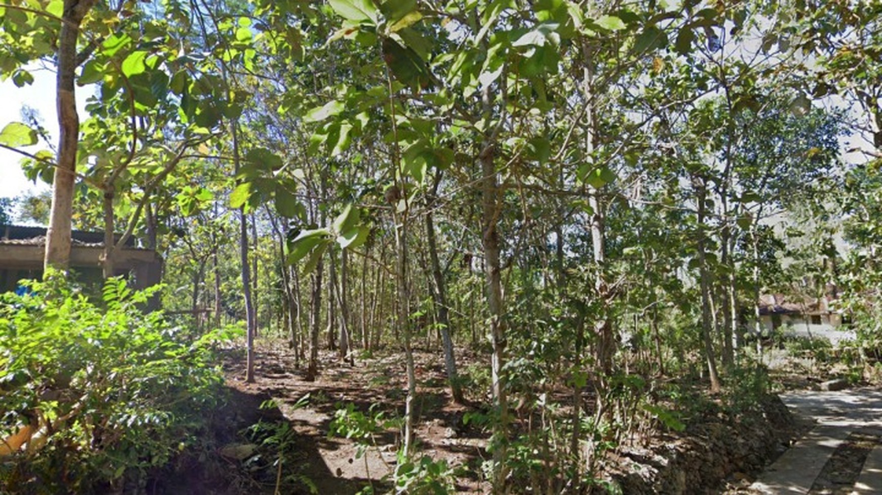 Tanah Pekarangan Luas 400 Meter Persegi dekat Jalan Baron KM 8, Wonosari Gunung Kidul