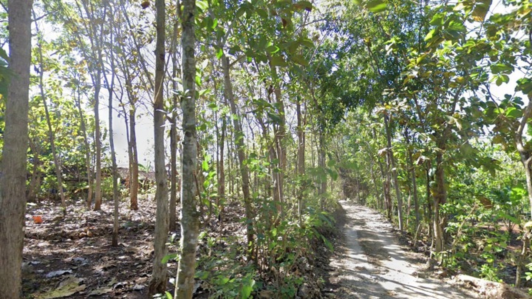 Tanah Pekarangan Luas 400 Meter Persegi dekat Jalan Baron KM 8, Wonosari Gunung Kidul