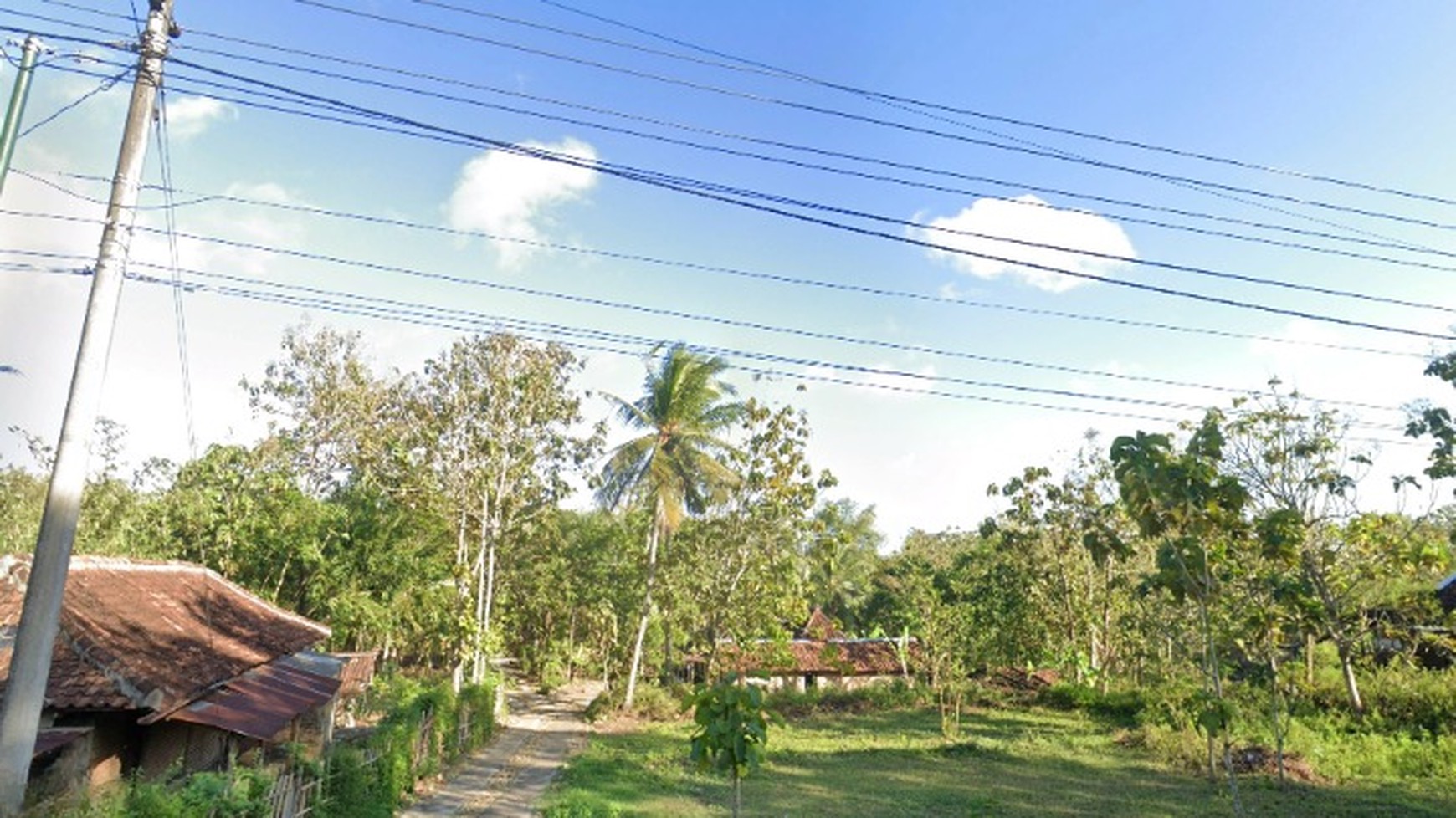 Tanah Pekarangan Luas 400 Meter Persegi dekat Jalan Baron KM 8, Wonosari Gunung Kidul