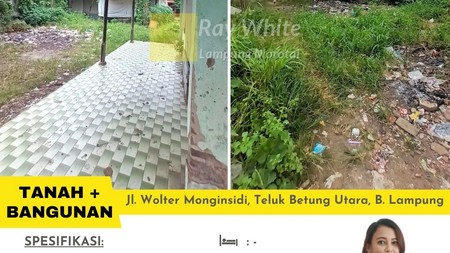 tanah wolter mangonsidi