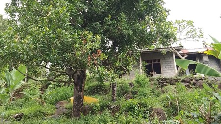 Kavling Murah Siap Bangun dan Lokasi Strategis @Buleleng, Bali