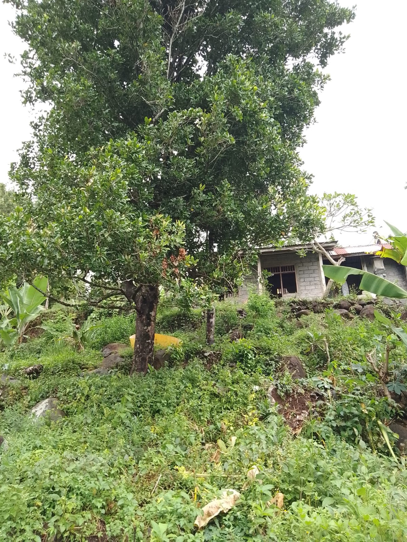 Kavling Murah Siap Bangun dan Lokasi Strategis @Buleleng, Bali