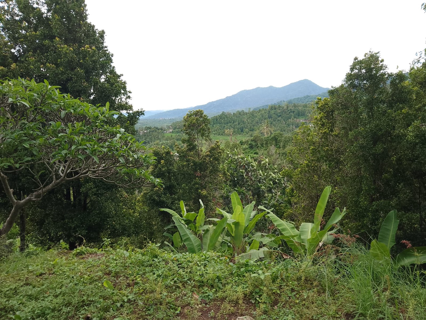 Kavling Murah Siap Bangun dan Lokasi Strategis @Buleleng, Bali