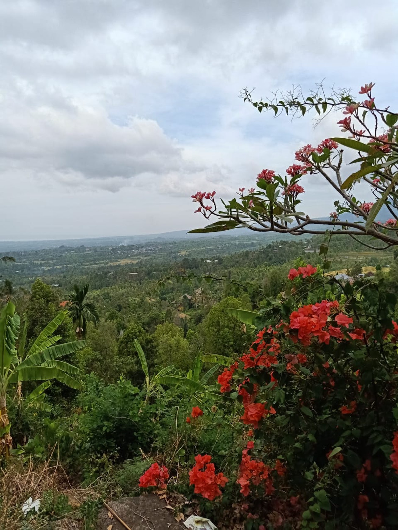 Kavling Murah Siap Bangun dan Lokasi Strategis @Buleleng, Bali