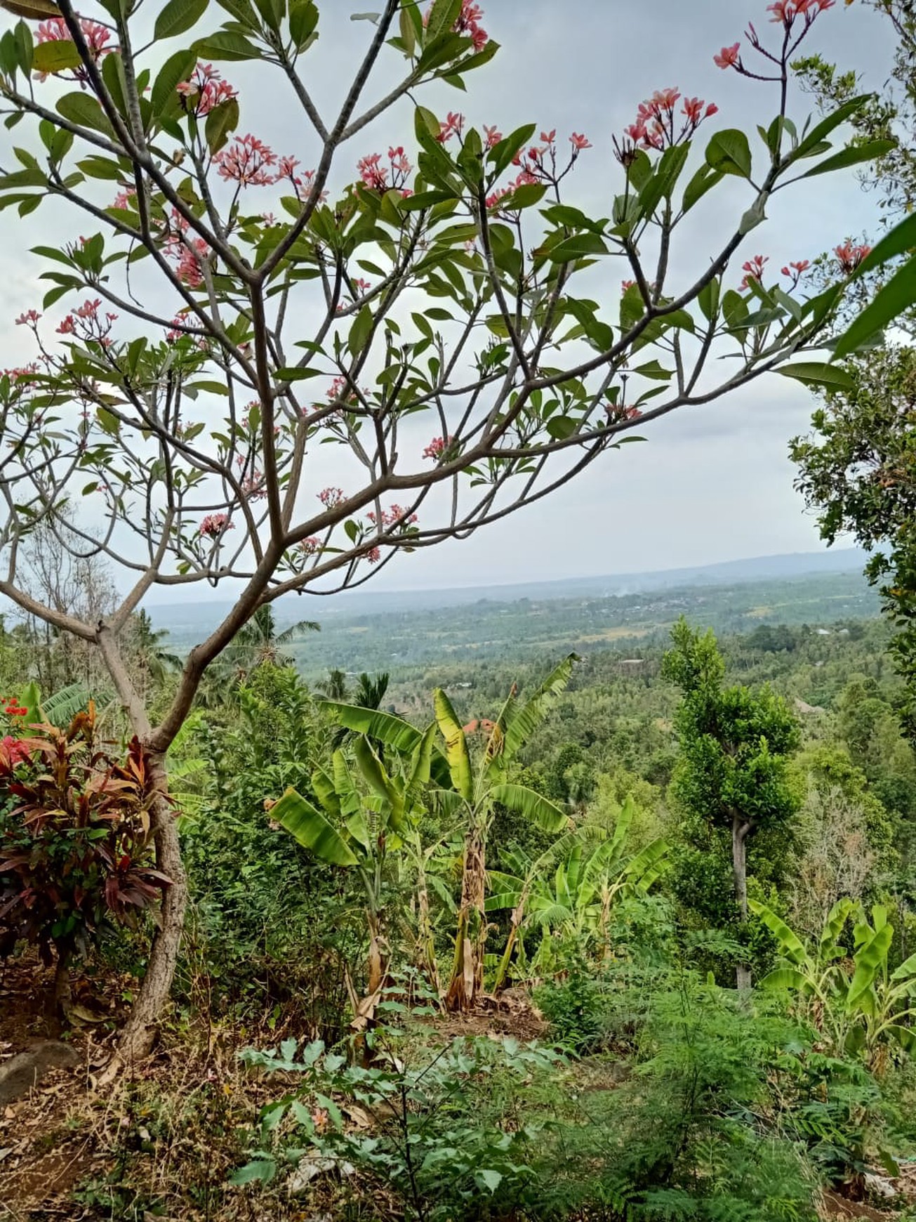 Kavling Murah Siap Bangun dan Lokasi Strategis @Buleleng, Bali