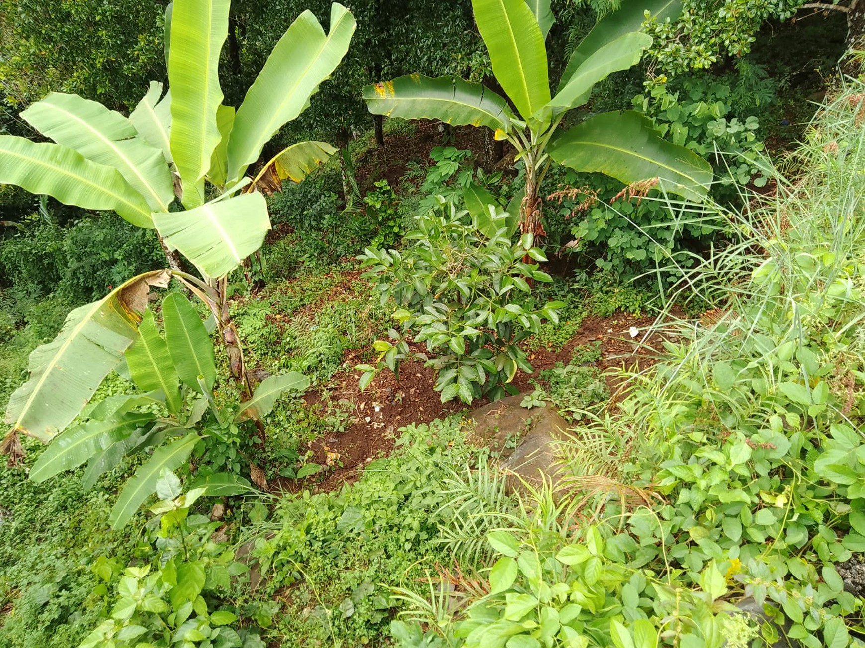 Kavling Murah Siap Bangun dan Lokasi Strategis @Buleleng, Bali