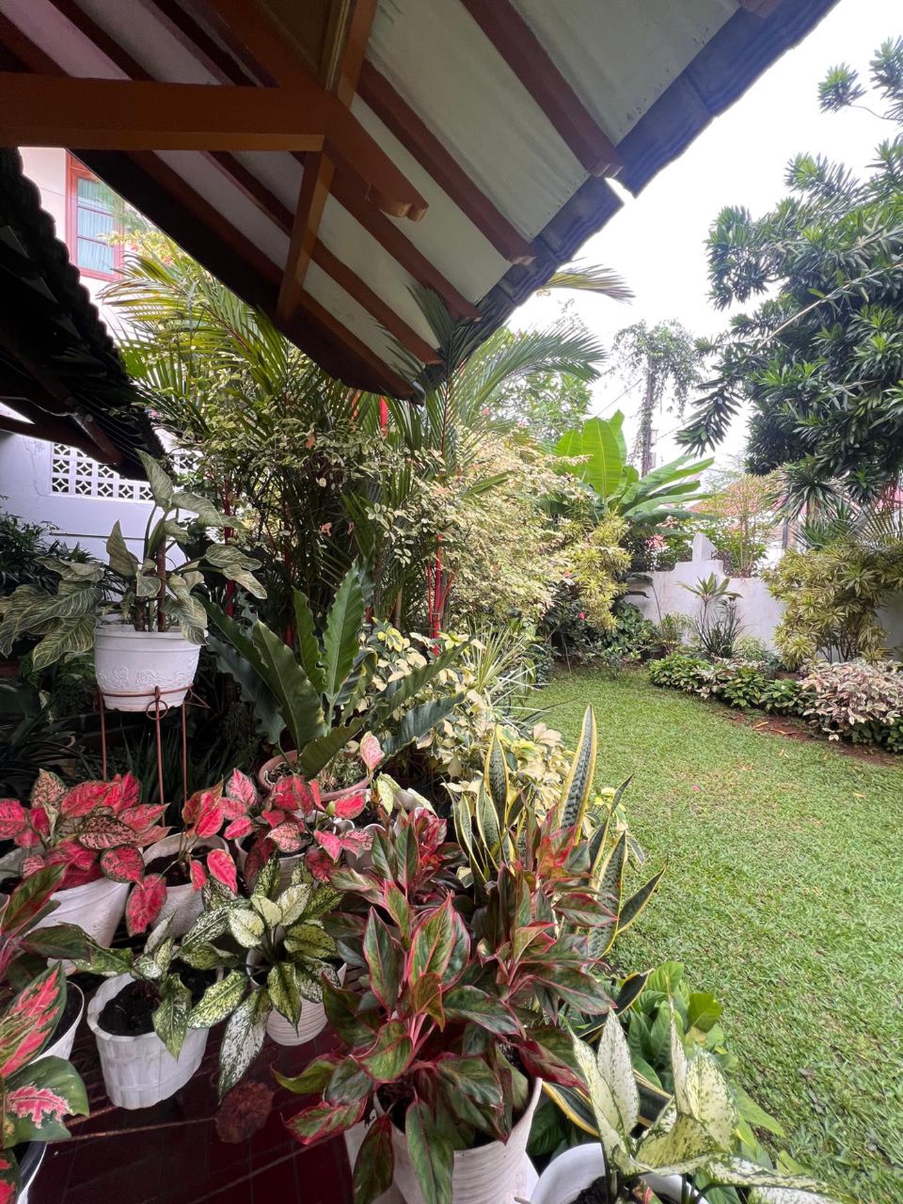 Rumah Bagus Di Jl YRS Veteran Bintaro Jakarta Selatan