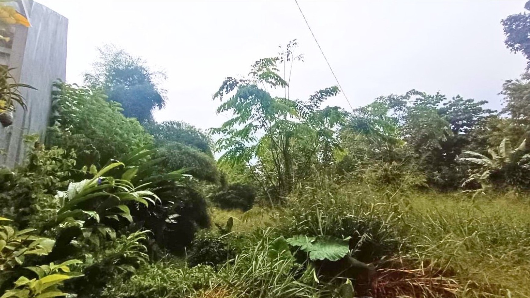 Dijual Tanah Residensial Duren Seribu Murah, Dekat Wisata Taman Herbal Insani Free SHM di Jl. Cemara 5, Duren Seribu, Kec. Bojongsari, Kota Depok, Jawa Barat