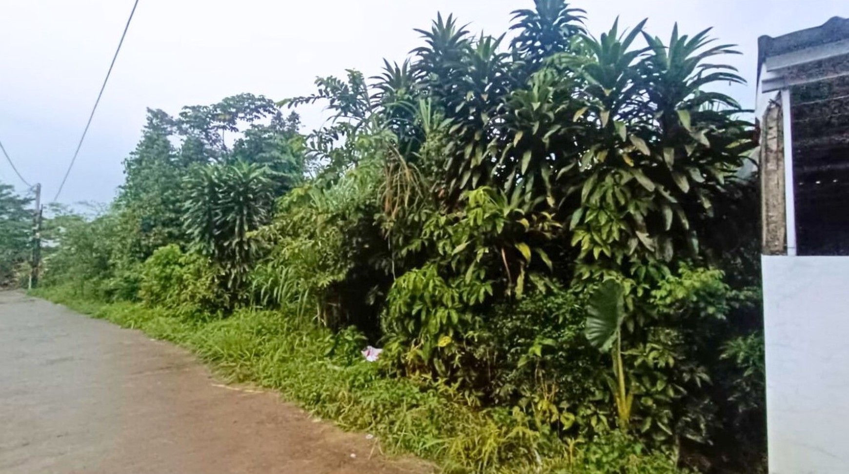 Dijual Tanah Residensial Duren Seribu Murah, Dekat Wisata Taman Herbal Insani Free SHM di Jl. Cemara 5, Duren Seribu, Kec. Bojongsari, Kota Depok, Jawa Barat
