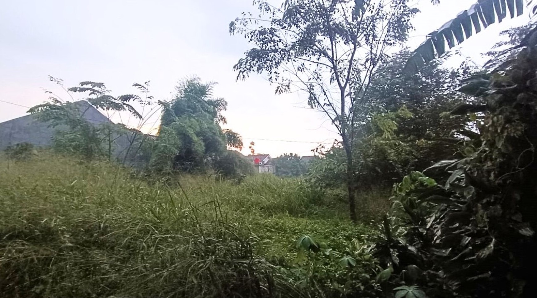 Dijual Tanah Residensial Duren Seribu Murah, Dekat Wisata Taman Herbal Insani Free SHM di Jl. Cemara 5, Duren Seribu, Kec. Bojongsari, Kota Depok, Jawa Barat