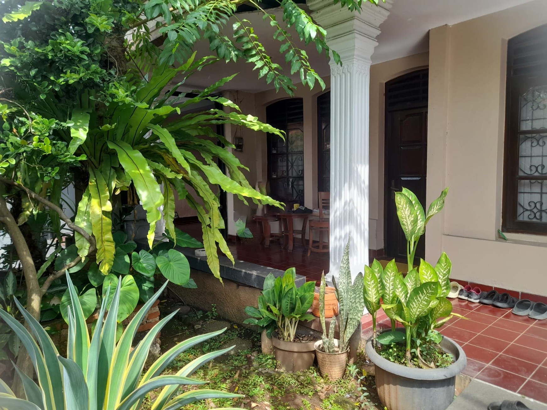 Rumah Siap Huni dengan Hunian Nyaman dan Asri di Cipulir, Jakarta Selatan