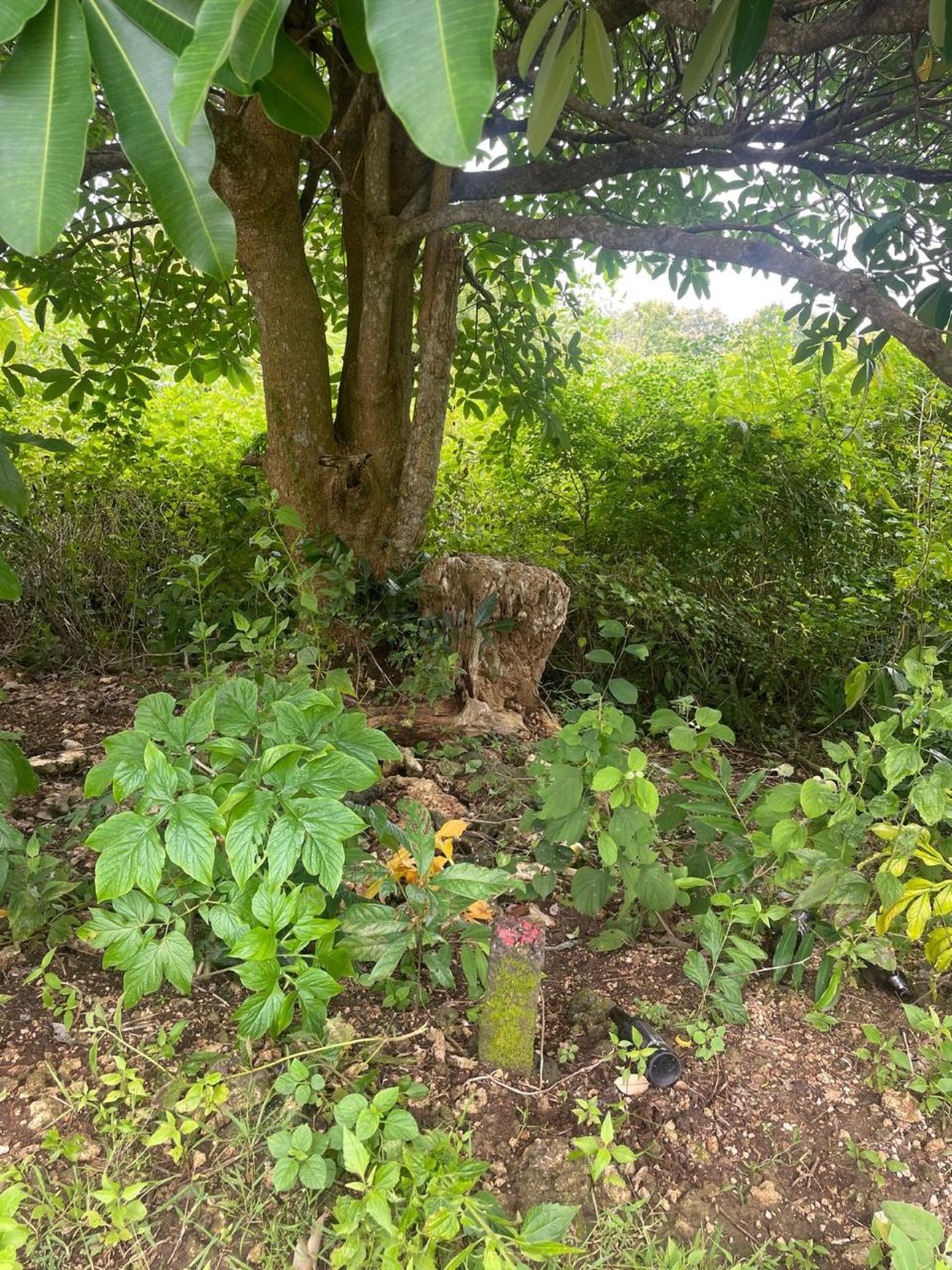 Freehold Land Ocean View and GWK View in Close Pecatu Bali
