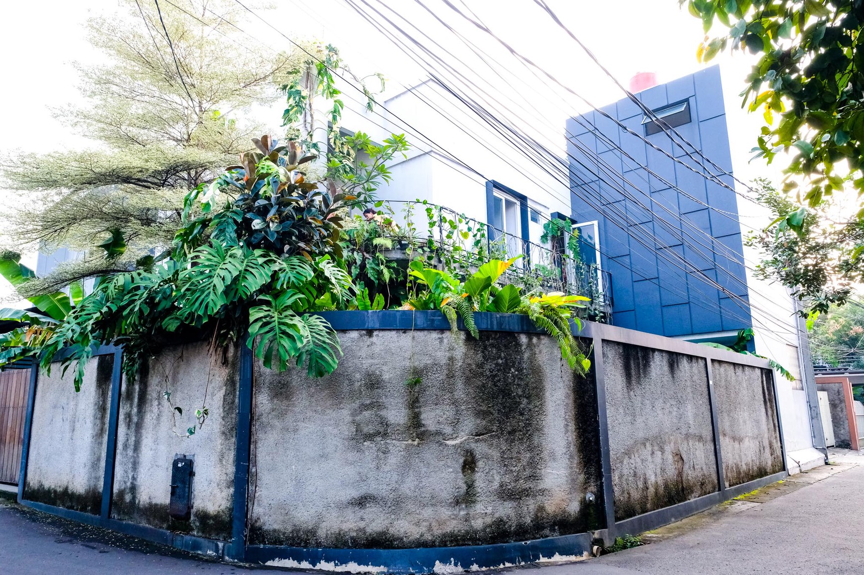 Rumah yang asri dan tenang dengan interior mewah di Jakarta Timur