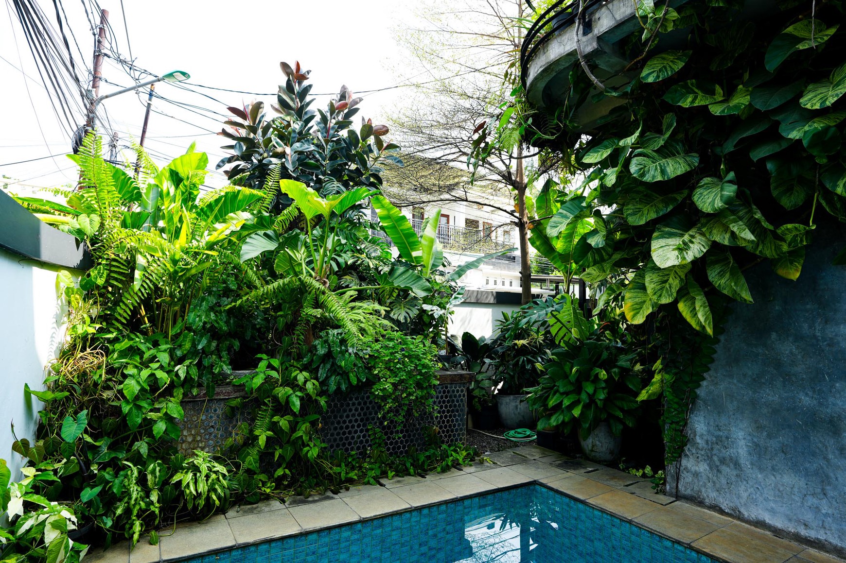 Rumah yang asri dan tenang dengan interior mewah di Jakarta Timur
