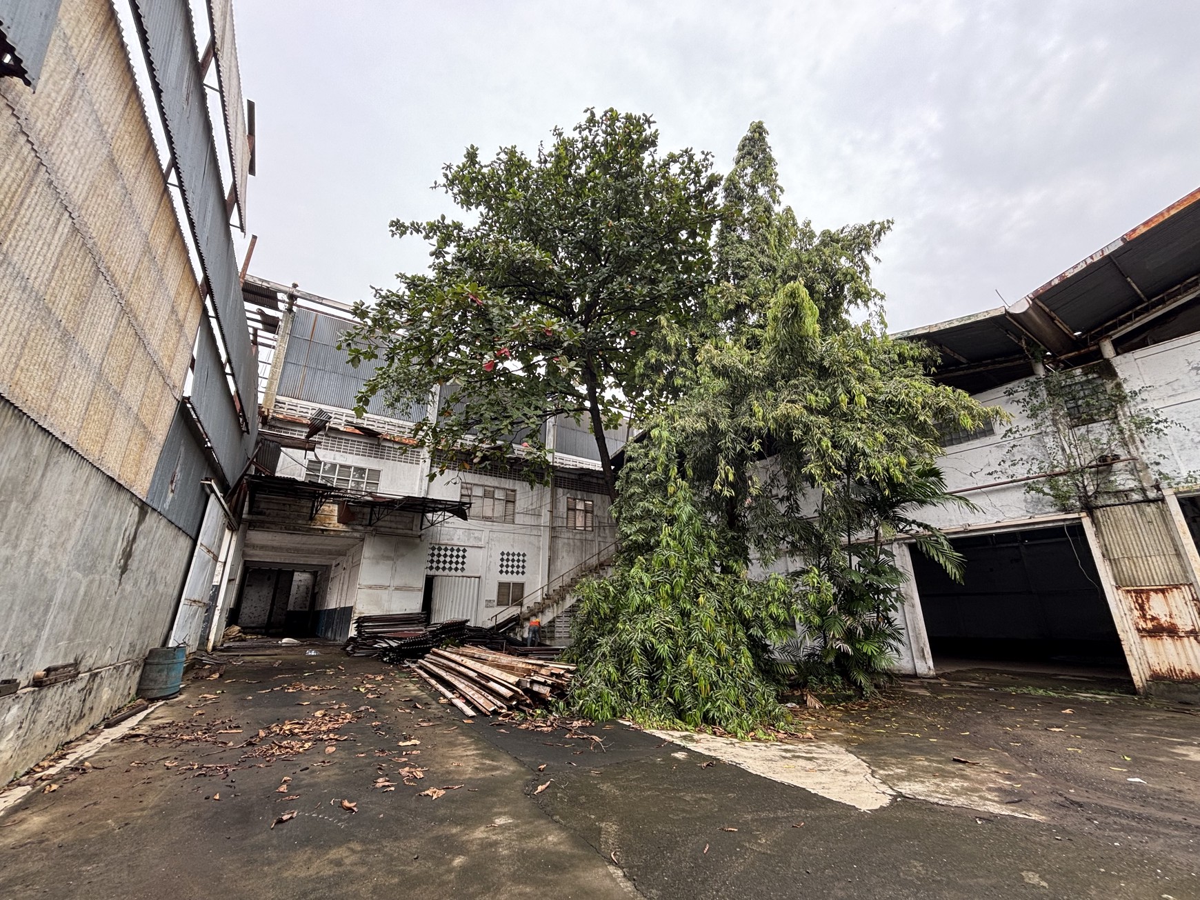 Ex Pabrik Gudang  Hanya Harga Tanah di Jl.Raya Thole Iskandar Sukmajaya Depok 