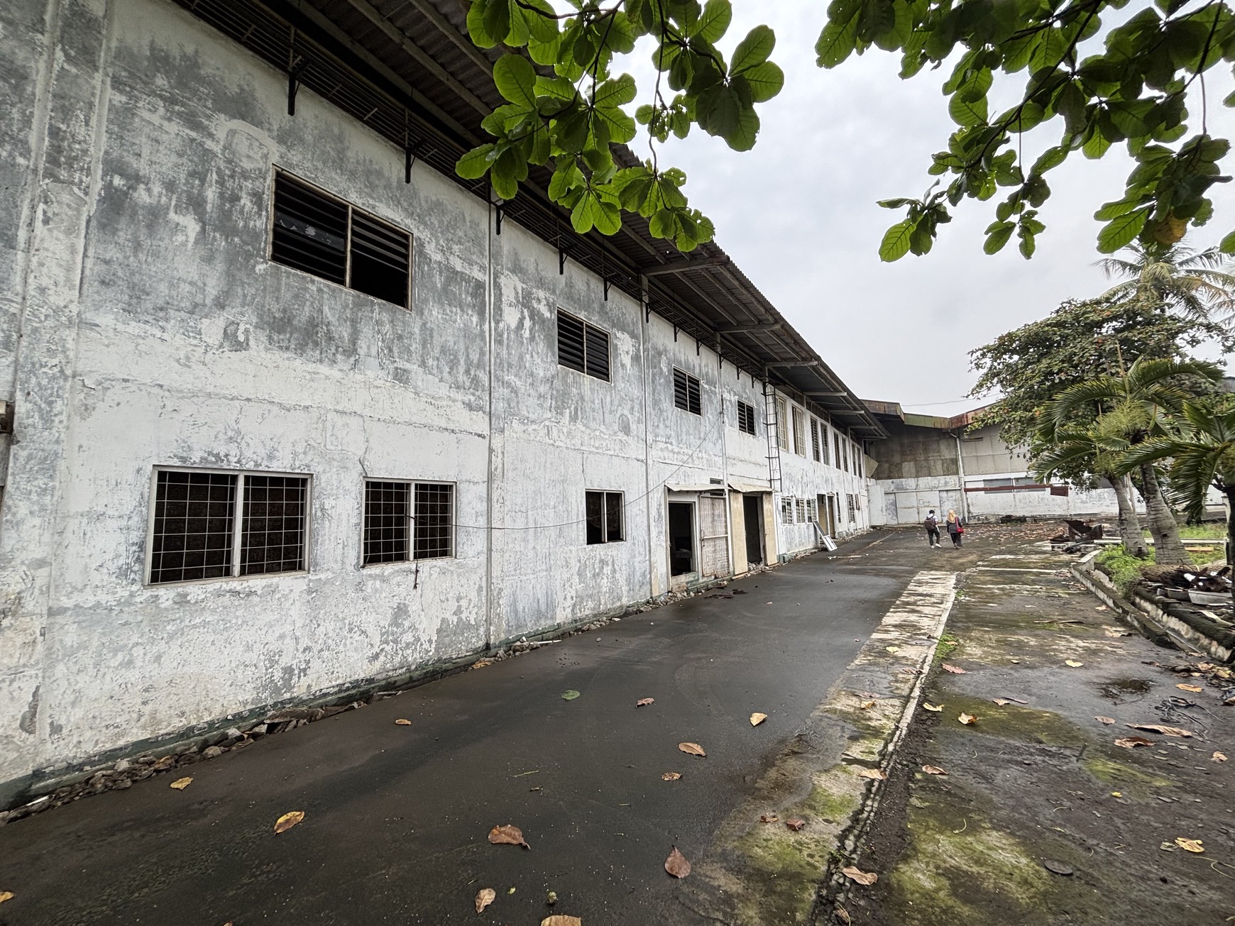 Ex Pabrik Gudang  Hanya Harga Tanah di Jl.Raya Thole Iskandar Sukmajaya Depok 