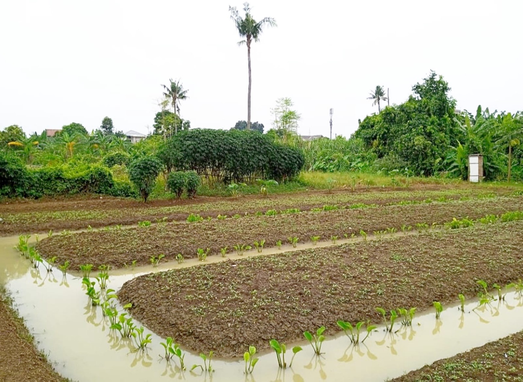 Dijual Kavling strategis, Cimone, pusat kota Tangerang