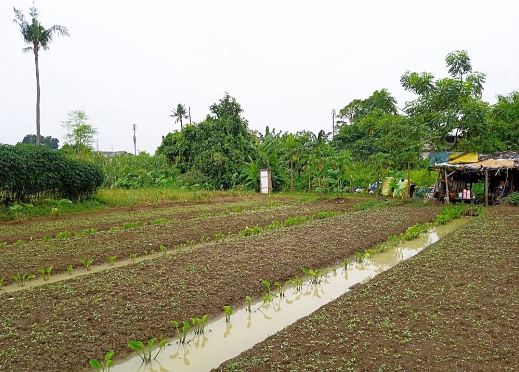 Dijual Kavling strategis, Cimone, pusat kota Tangerang
