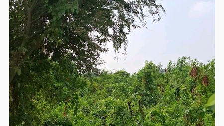 Dijual tanah residensial di Rungkut