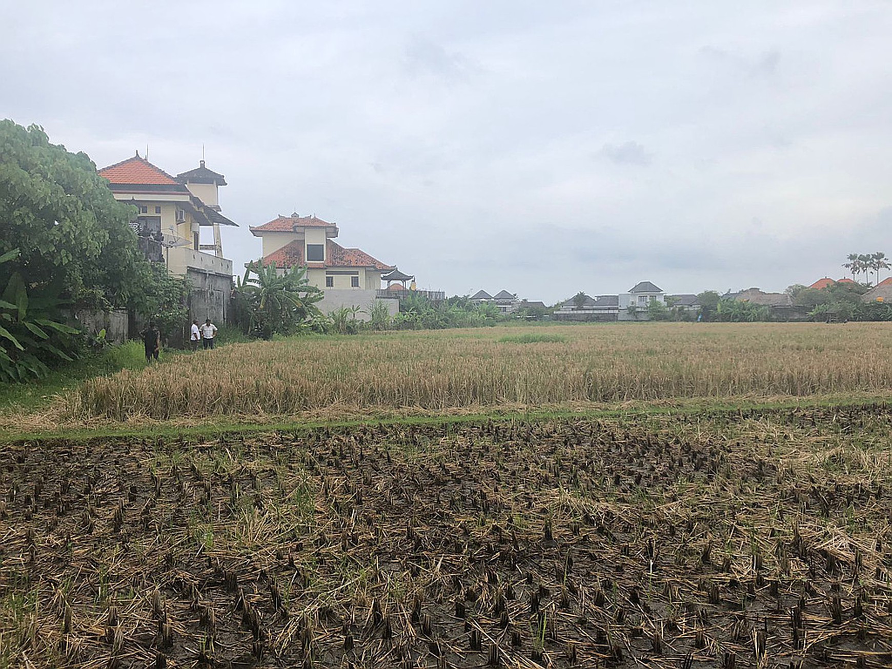 Freehold Land in Great Location Batu Belig Close Seminyak Bali