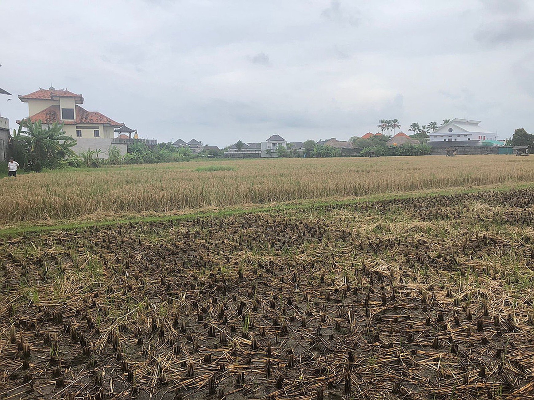 Freehold Land in Great Location Batu Belig Close Seminyak Bali