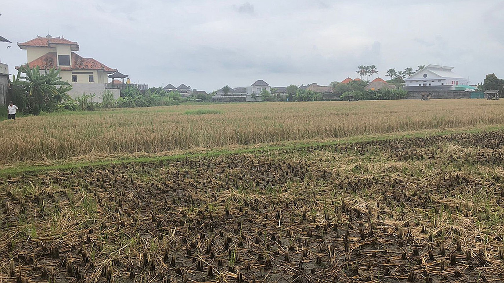 Freehold Land in Great Location Batu Belig Close Seminyak Bali