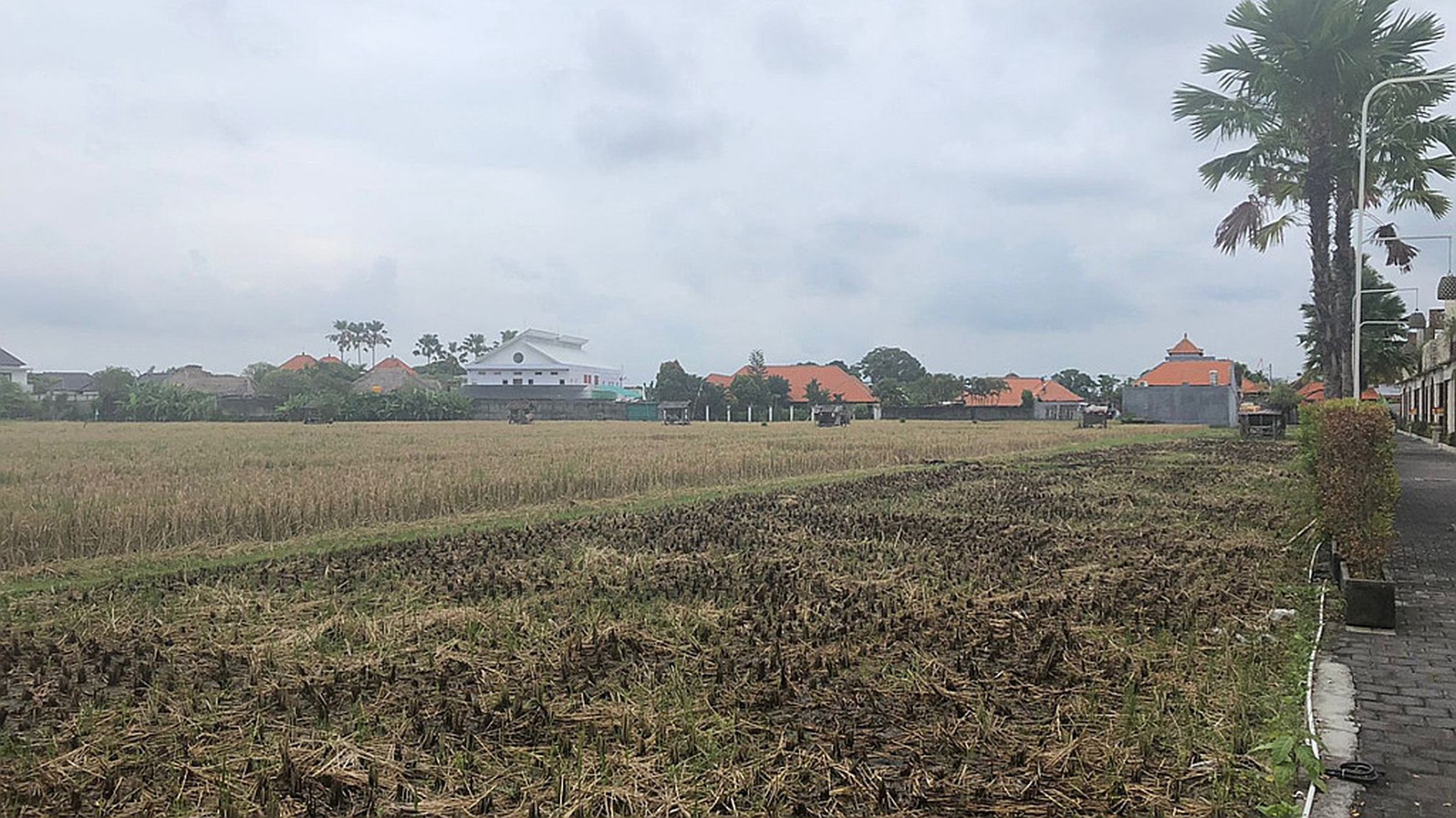 Freehold Land in Great Location Batu Belig Close Seminyak Bali