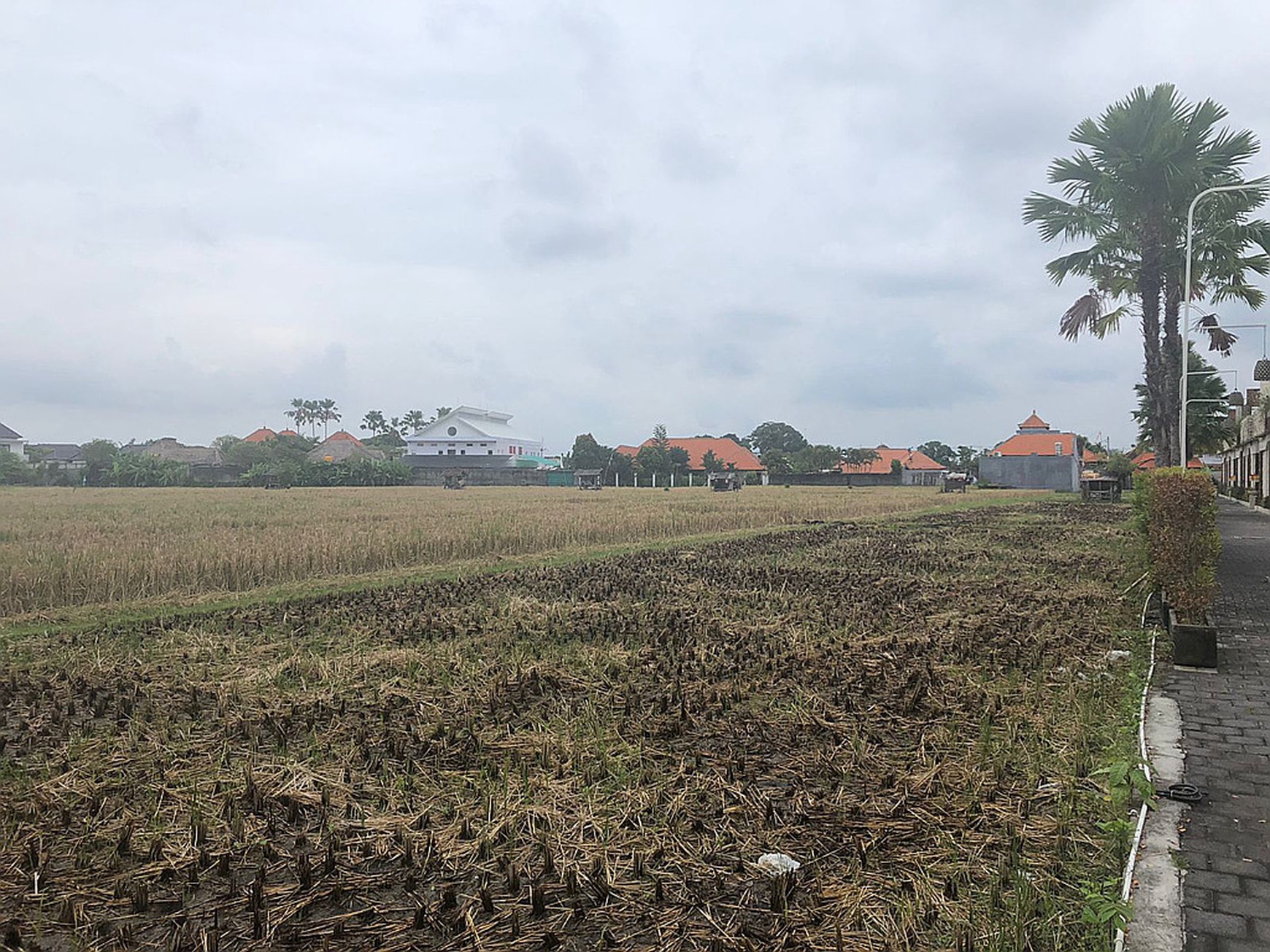 Freehold Land in Great Location Batu Belig Close Seminyak Bali