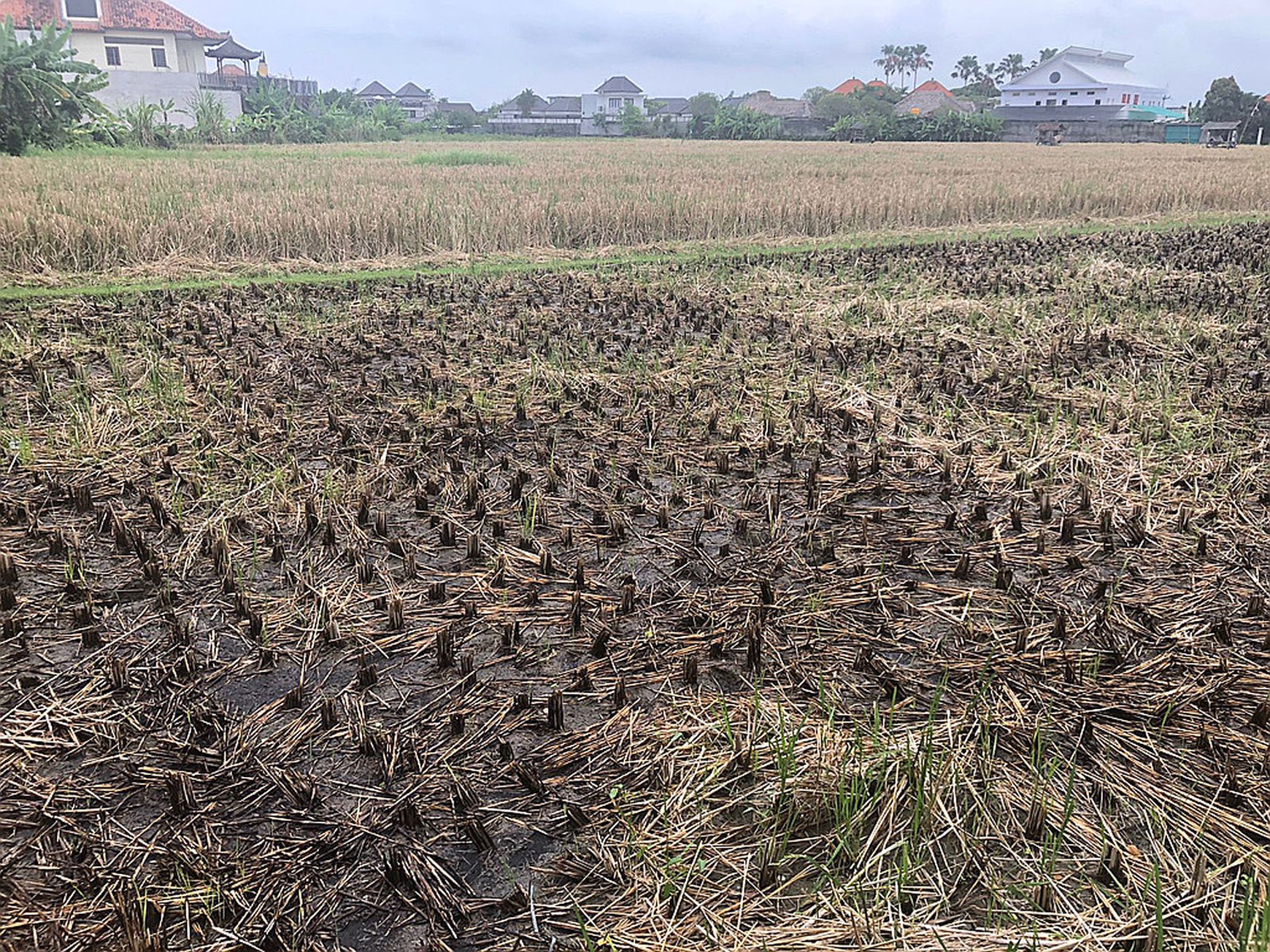 Freehold Land in Great Location Batu Belig Close Seminyak Bali