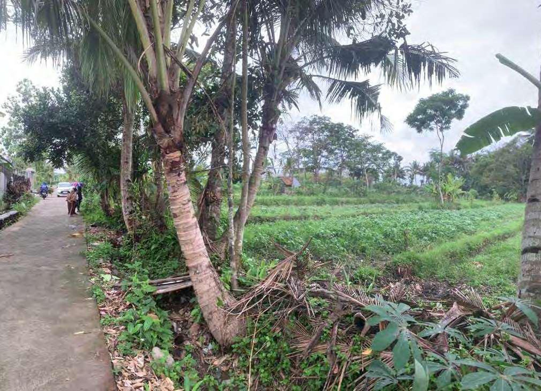 Tanah 1070 Meter Persegi Lokasi Dekat Kampus UII Umbulmartani Ngemplak Sleman