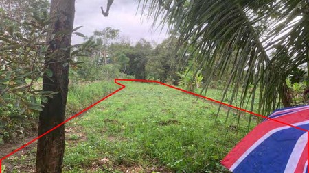 Tanah 1070 Meter Persegi Lokasi Dekat Kampus UII Umbulmartani Ngemplak Sleman