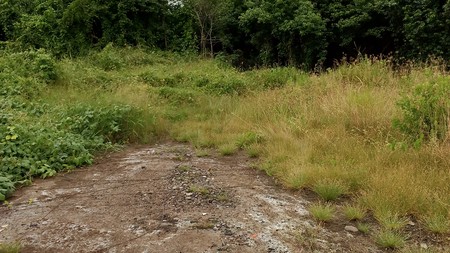 Di jual cepat tanah kavling siap bangun