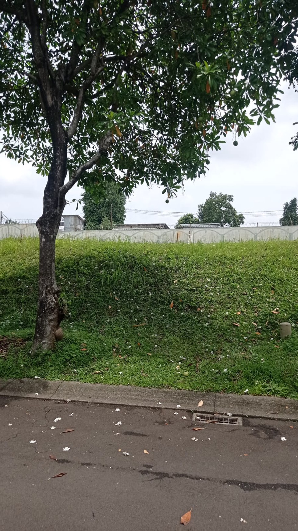 Kavling Badan Siap Bangun di Giri Loka BSD Dekat Tol