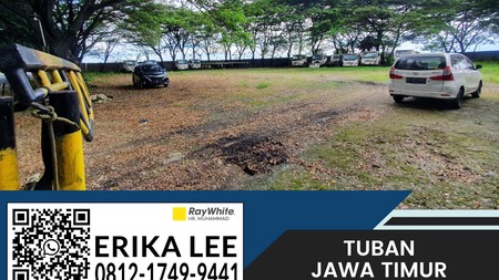 Murah Tanah Padat Harga Rp 1,7 M utk Pool Truk Di Raya Tuban Babat 