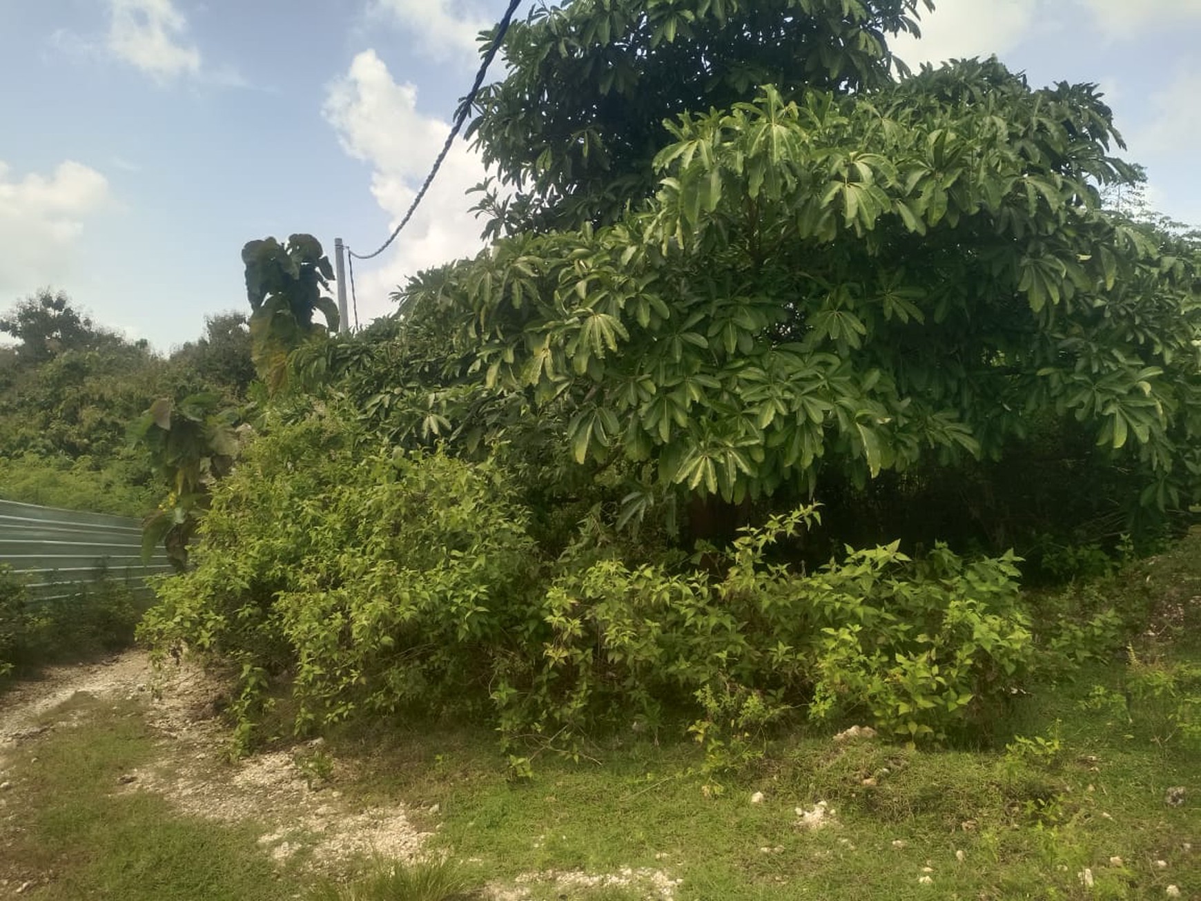 Freehold Land Ocean View and GWK View in Close Pecatu Bali