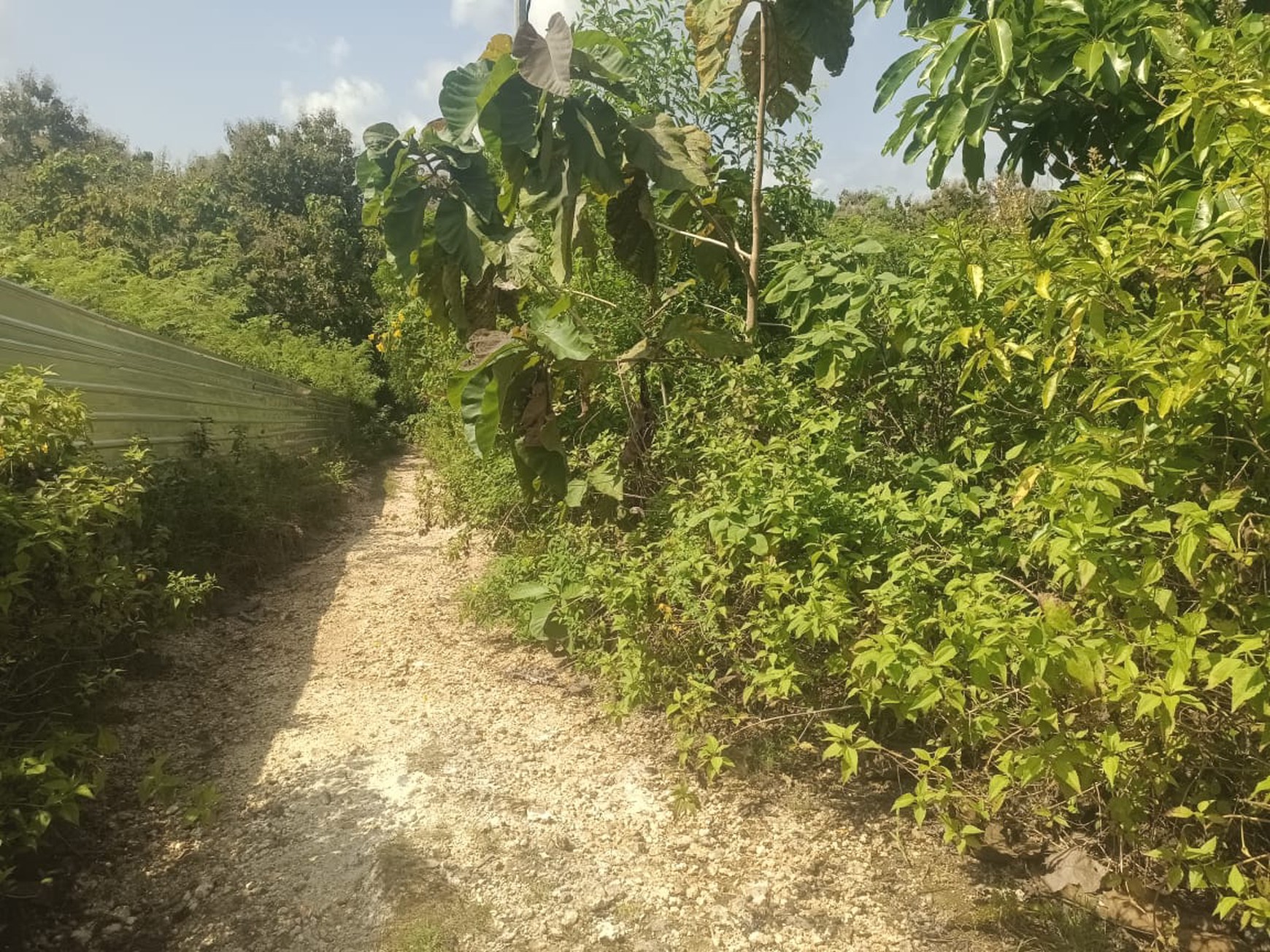 Freehold Land Ocean View and GWK View in Close Pecatu Bali