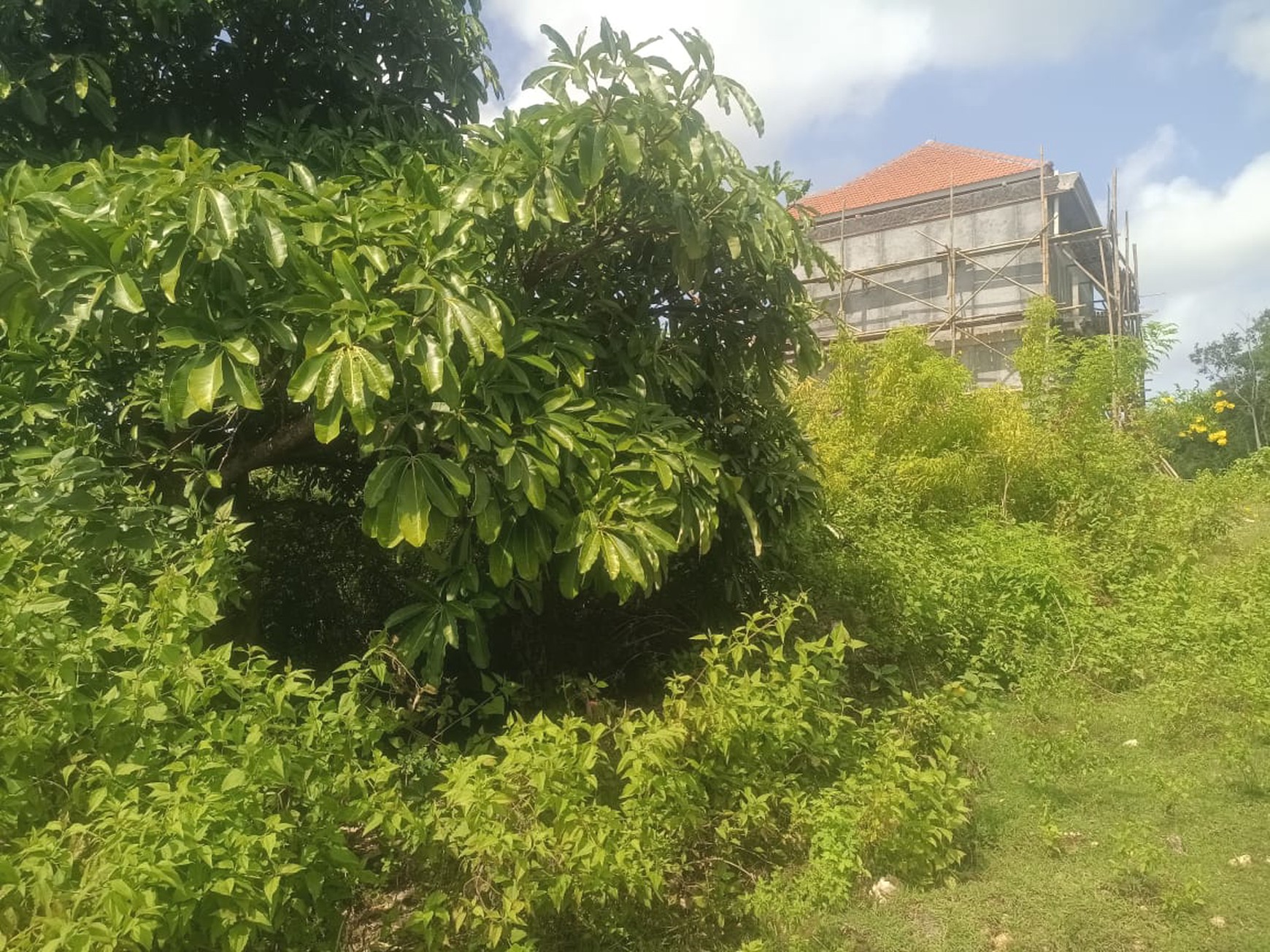 Freehold Land Ocean View and GWK View in Close Pecatu Bali