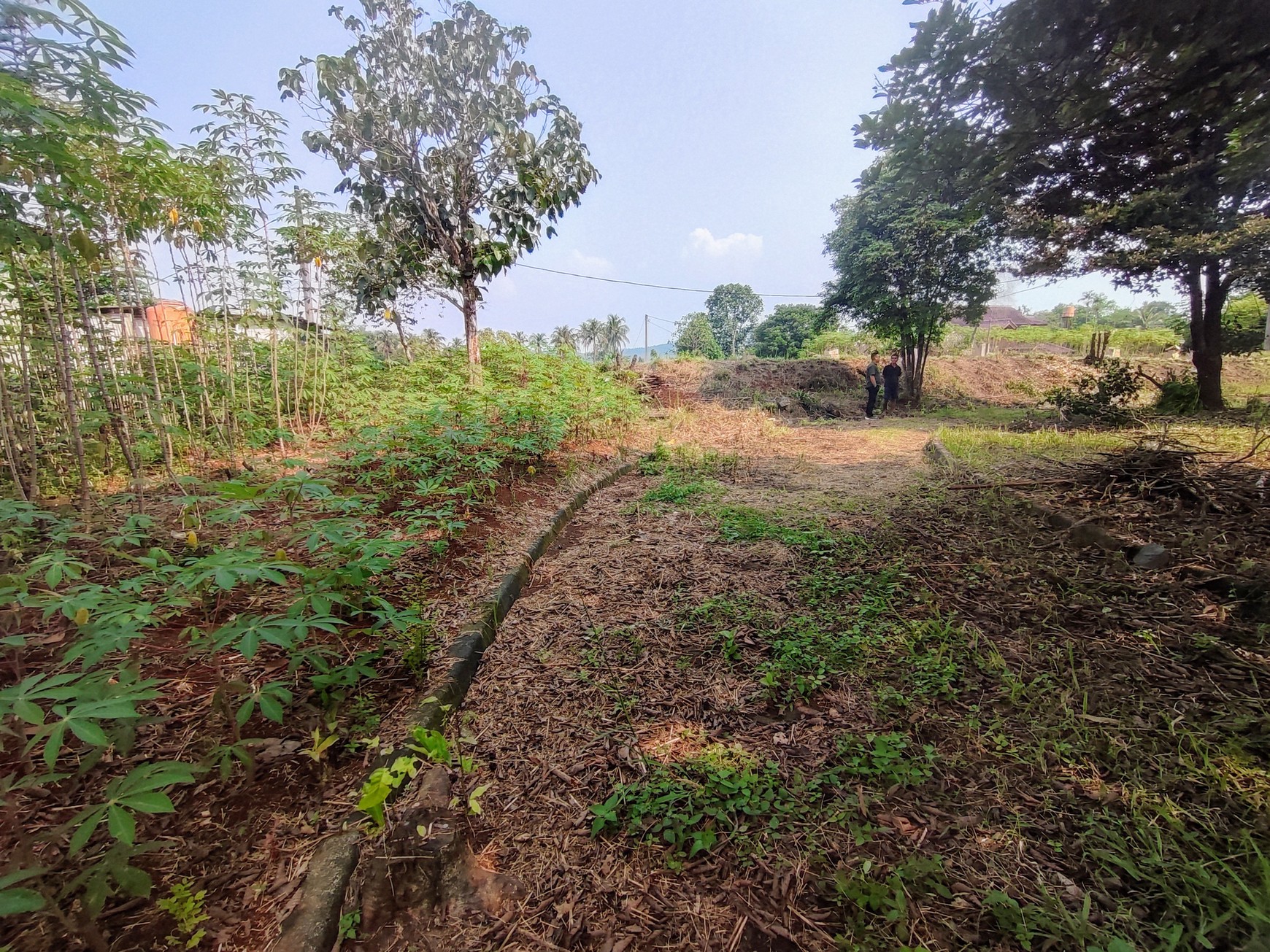 Kavling Siap Bangun Di Perum Parung Hijau, Jl Durian, Pondok Udik, Kemang
