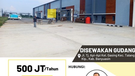 Gudang Disewakan di Desa Gasing Talang Kelapa