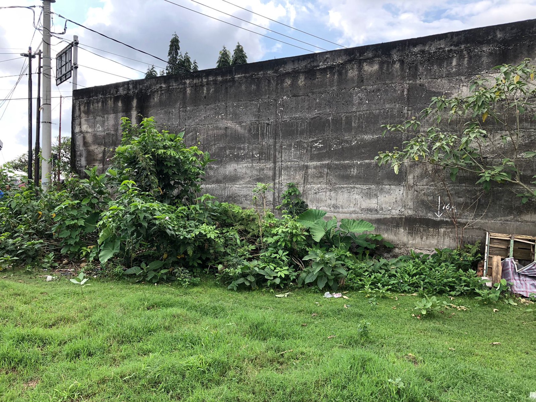 Land For Sale Perfect For Warehouse or Business in North Denpasar