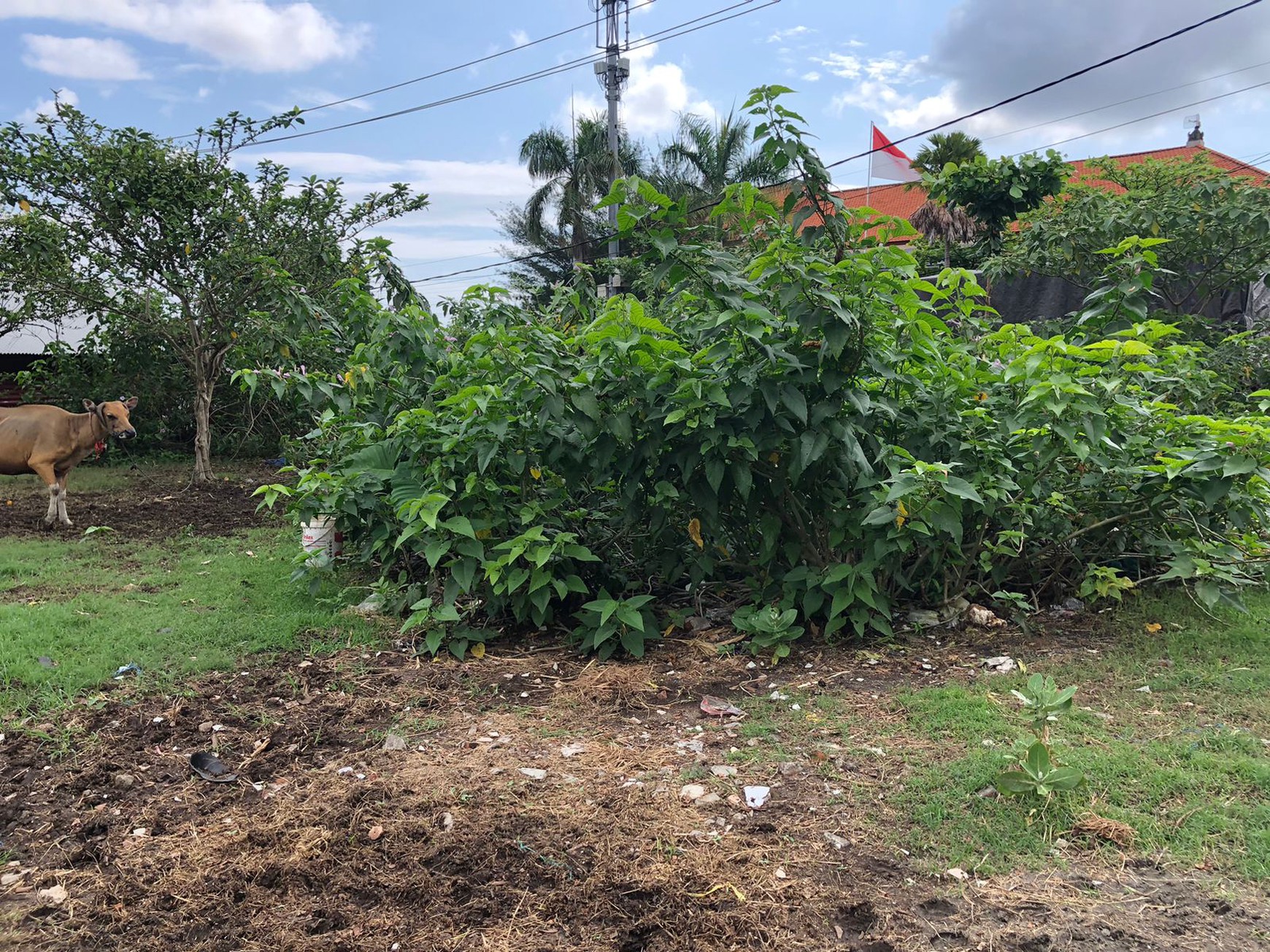 Land For Sale Perfect For Warehouse or Business in North Denpasar