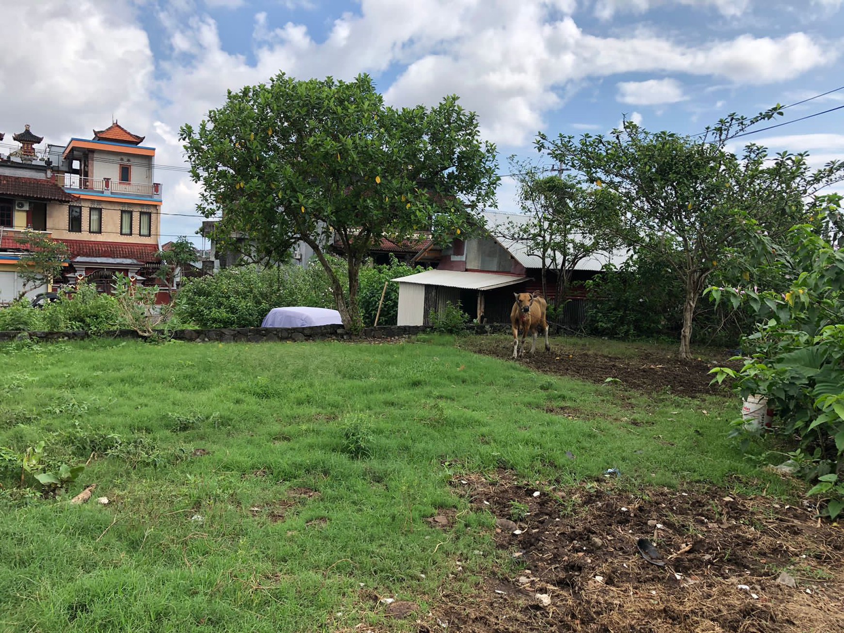 Land For Sale Perfect For Warehouse or Business in North Denpasar