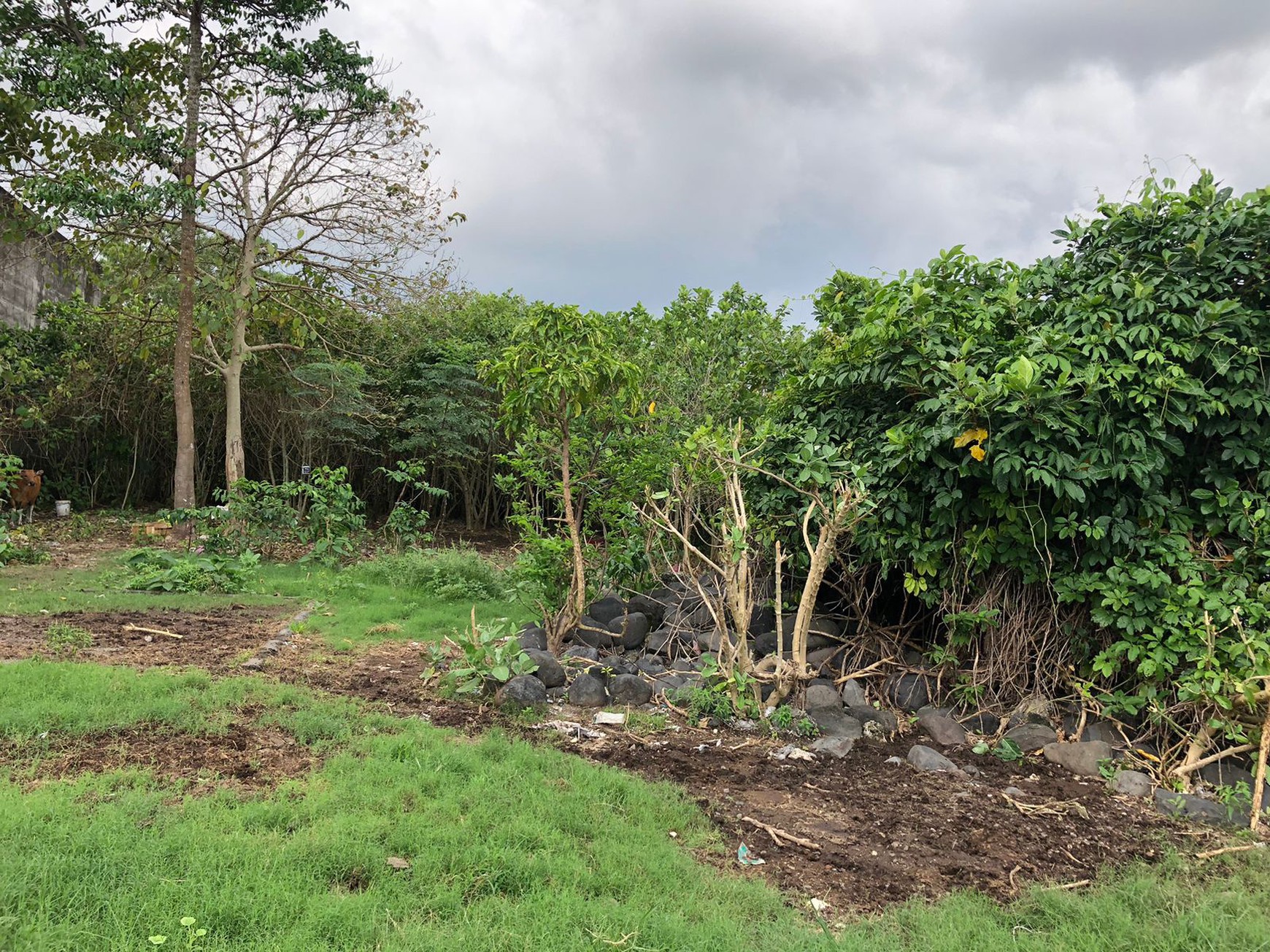 Land For Sale Perfect For Warehouse or Business in North Denpasar